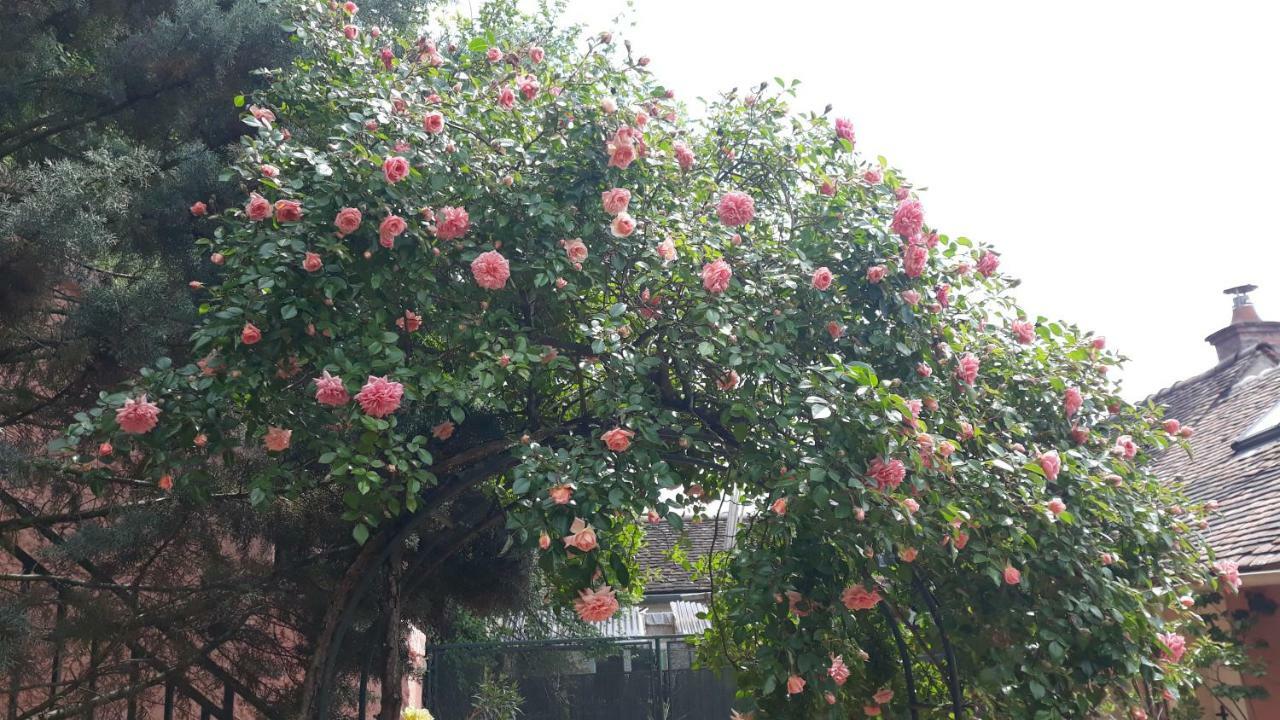 La Maison Rose: Lieu Atypique Hotel Nemours Bagian luar foto